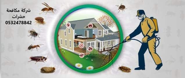 شركة مكافحة حشرات بالجبيل 0532478842 رش مبيدات بالجبيل
