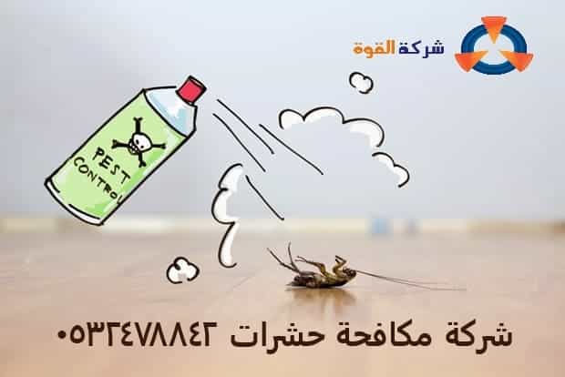 شركة مكافحة حشرات بسيهات 0532478842 رش البق والنمل والفئران